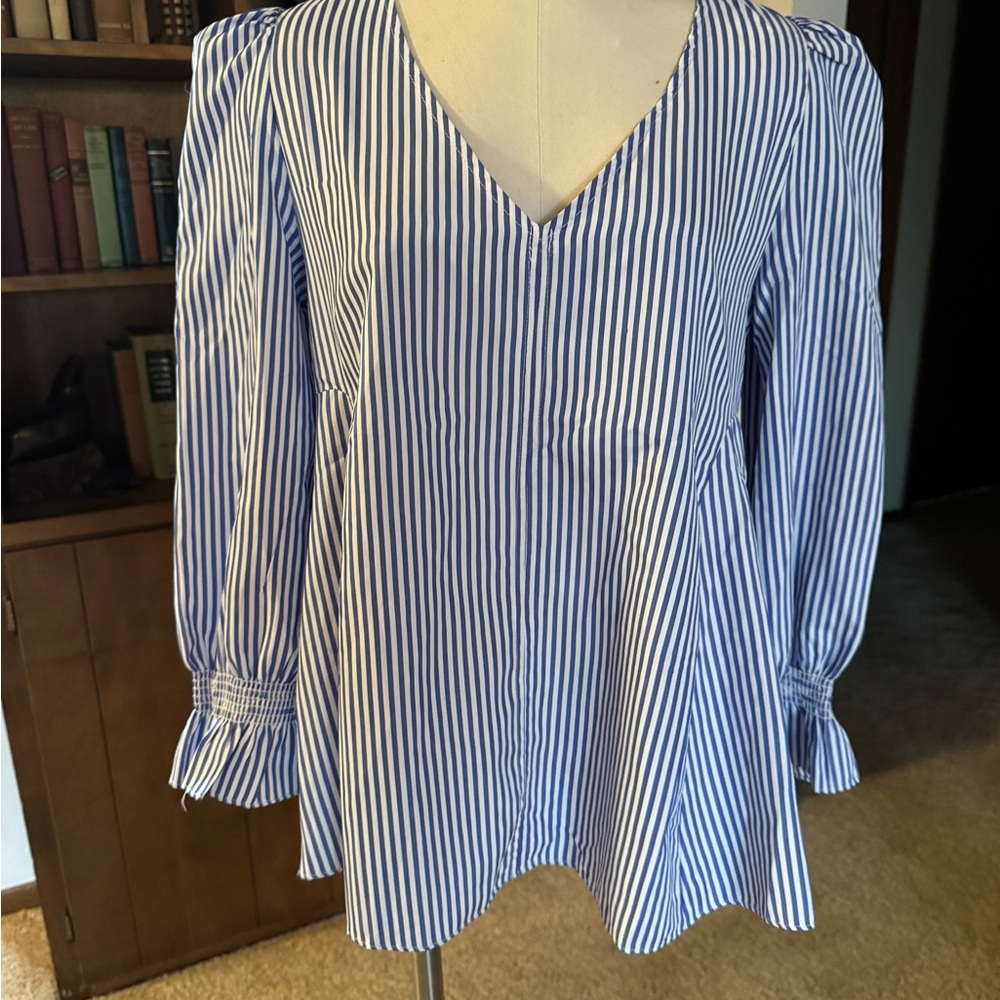 Tuckernuck Blue and White Striped Top Blouse